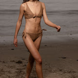 Terry Top - Sand Shark