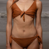 Terry Top - Tiger Shark