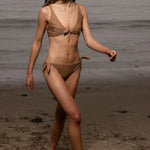 Terry Bottom - Sand Shark - Heidi Merrick
