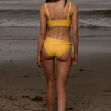Terry Bottom - Yellow Fin - Heidi Merrick
