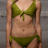 Terry Top - Frog - Heidi Merrick