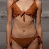 Terry Bottom - Tiger Shark - Heidi Merrick