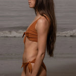 Terry Top - Tiger Shark - Heidi Merrick