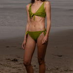 Terry Top - Frog - Heidi Merrick