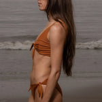 Terry Bottom - Tiger Shark - Heidi Merrick