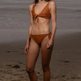 Terry Top - Tiger Shark - Heidi Merrick