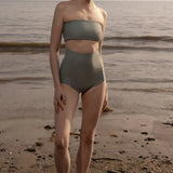 Vicent Top - Agave - Heidi Merrick